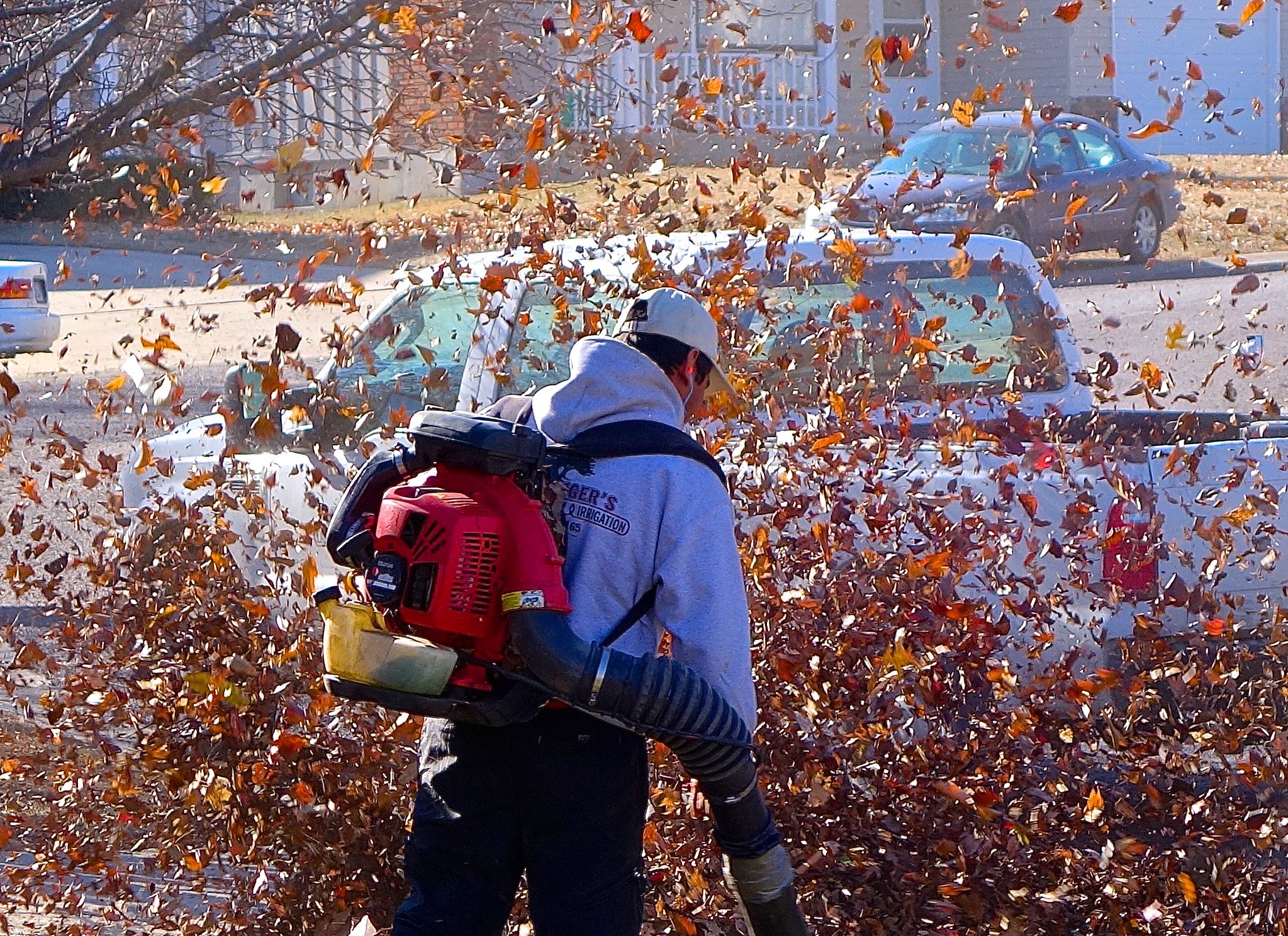 Best Backpack Leaf Blower