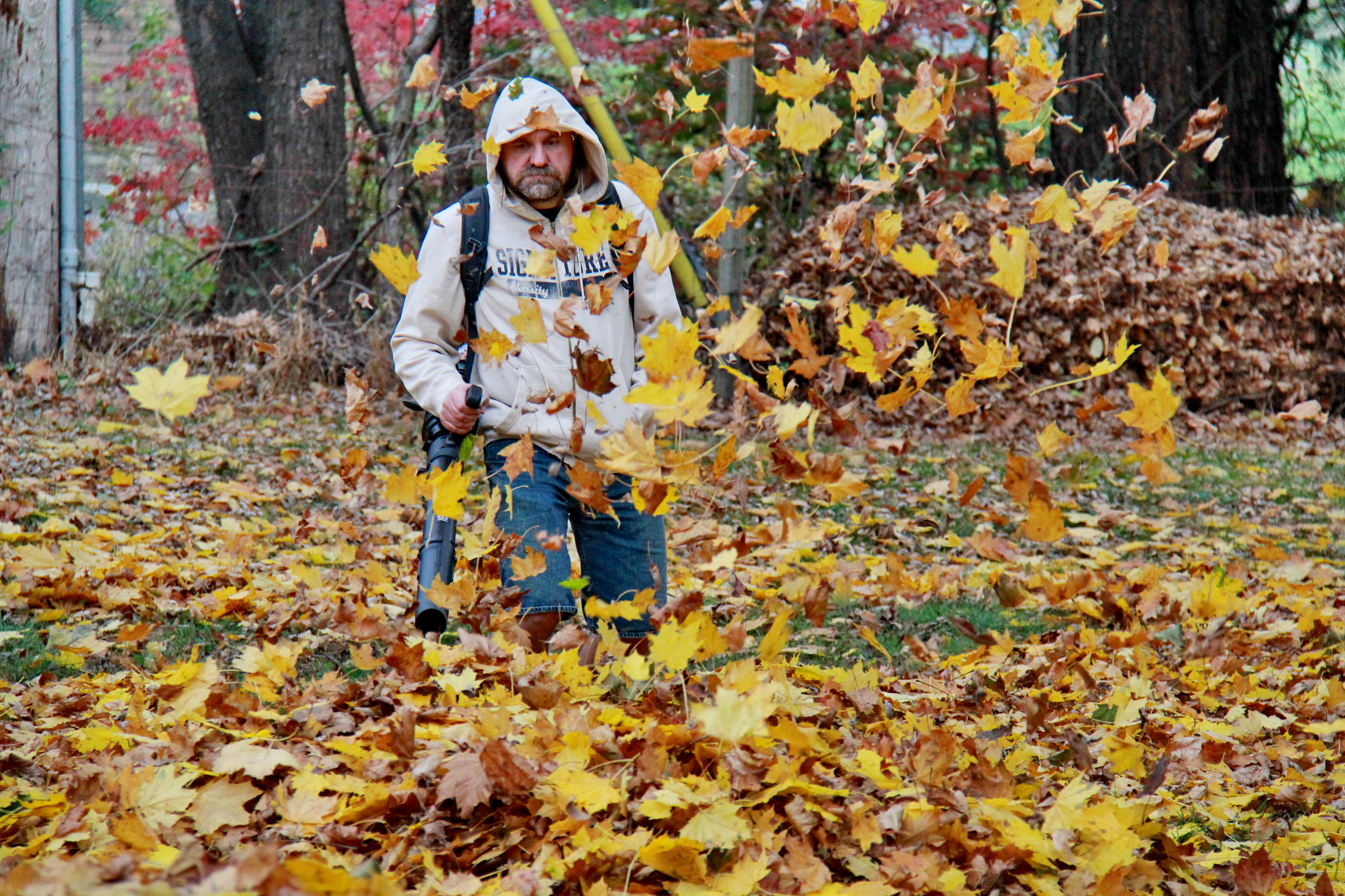 Redmax EBZ5150RH Review