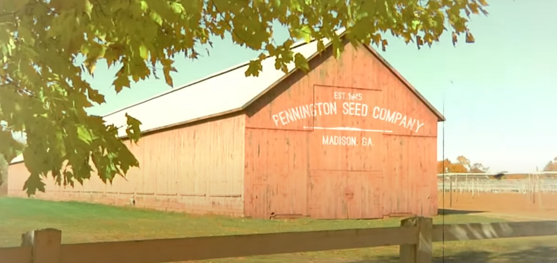 Pennington 1 Step Complete Sun And Shade Review