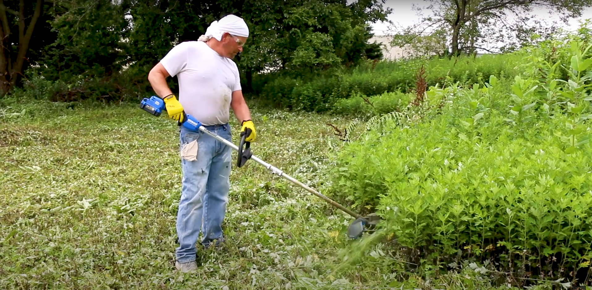 Best Rechargable String Trimmer