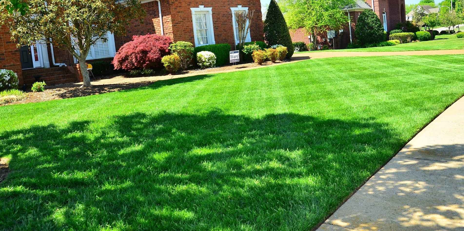 Jonathan Green Grass Seed Review | Landscape Method