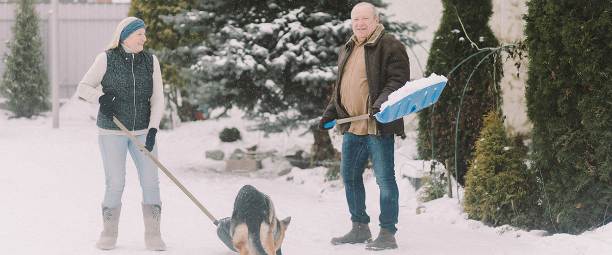 A senior couple shoveling snow with a dog