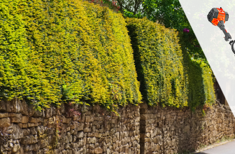 A Husqvarna 128LX trimmer next to a hedge