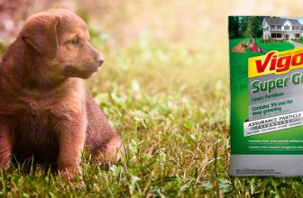 A dog next to a bag of Vigoro Super Green lawn fertilizer
