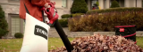 Best Leaf Blower Vacuum Mulcher