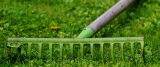 Best Rake for Dethatching