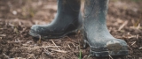 Best Work Shoes for Landscaping