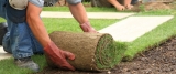 How to Use a Sod Lifter