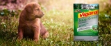 Vigoro Super Green Lawn Fertilizer Review